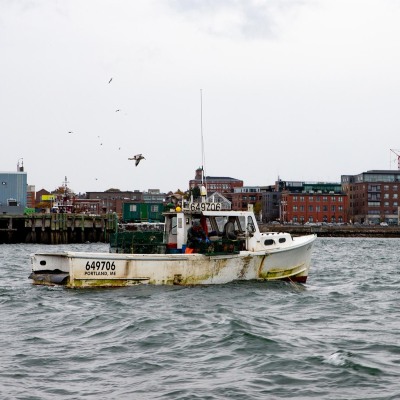 Casco-Bay_Portland_Fishing_October-2021_Jack-Sullivan_1