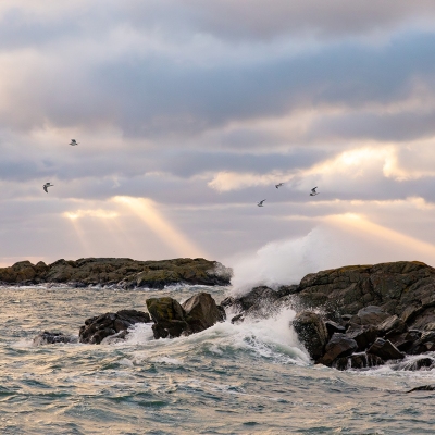 Grand-Manan_November-2024_Jack-Sullivan_2