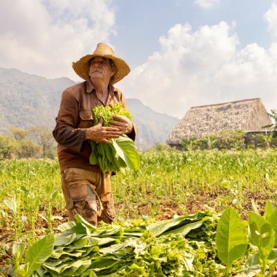 Vinales_March-2025_Jack-Sullivan_1