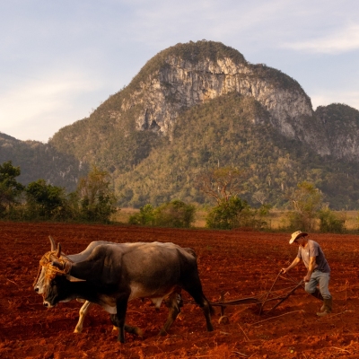 Vinales_March-2025_Jack-Sullivan_3