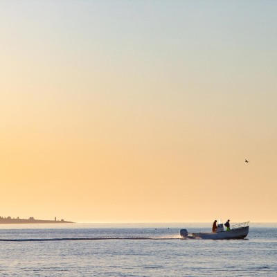 Frenchboro-Kelp-Harvest_May-2022_Jack-Sullivan_18