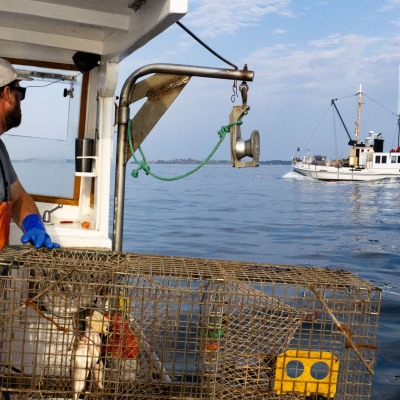 Port-Clyde-Fishing-with-Jason_July-2023_Jack-Sullivan_6