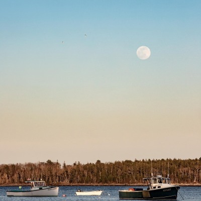 Round-Pond-Moonrise_April-2022_3