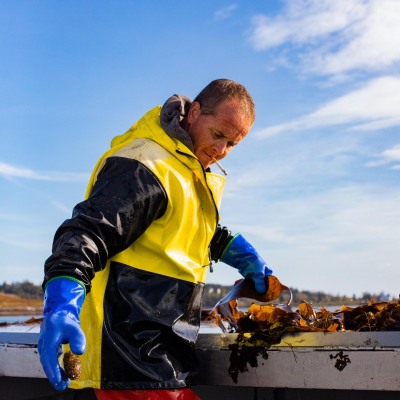 Lubec-Urchin-Dragging-1_October-2022_Jack-Sullivan