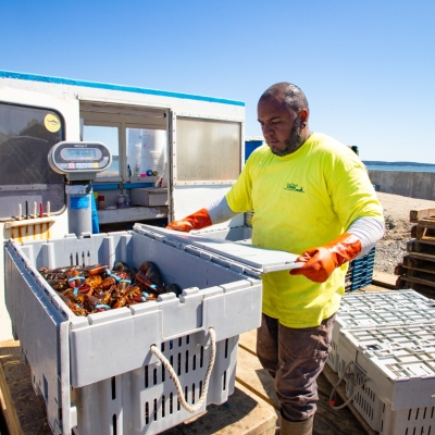 Milbridge_September-2024_Jack-Sullivan