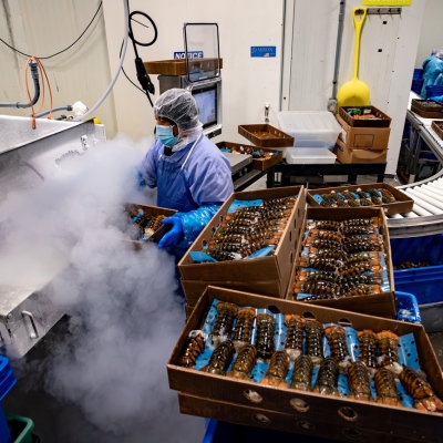 Ready-Seafood_September-2024_Jack-Sullivan_small_2