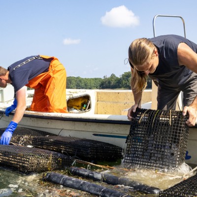 South-Thomaston-Aphrodite-Oysters_July-2023_Jack-Sullivan_30