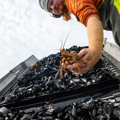 Trenton_Mussels_September-2024_Jack-Sullivan