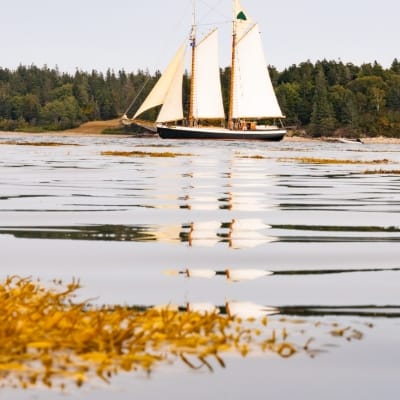 Brooklin_September-2024_Jack-Sullivan