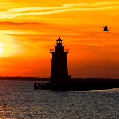 Cape-Henlopen-Delaware_April-2021_Jack-Sullivan