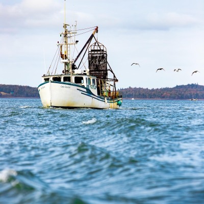 Lubec-Urchin-Dragging-2_October-2022_Jack-Sullivan-DeNoiseAI-standard