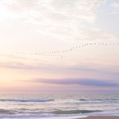 Outer-Banks_North-Carolina_April-2021_Jack-Sullivan