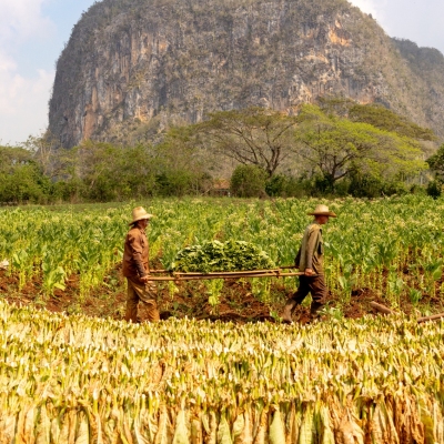 Vinales_March-2025_Jack-Sullivan_2