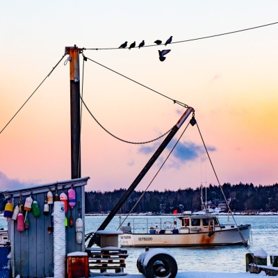 Sprucehead_February-2025_Jack-Sullivan