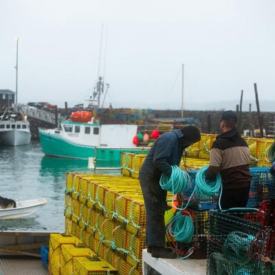 Grand-Manan_November-2024_Jack-Sullivan_1