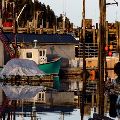 Head-Harbor_Campobello_2_October-2022_Jack-Sullivan