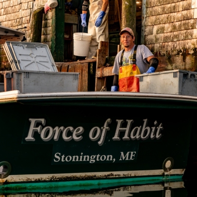 Stonington_Green-Head_September-2024_Jack-Sullivan