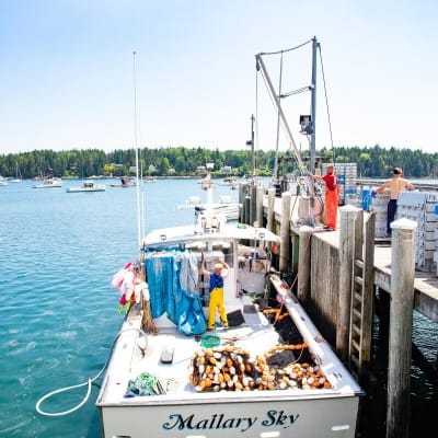 Tenants-Harbor_June-2021_Jack-Sullivan_7